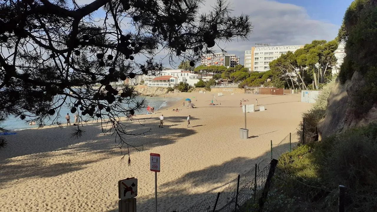 Apartamento Cala Del Pi Platja d'Aro  España